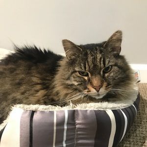 Meet your Posher, Briana